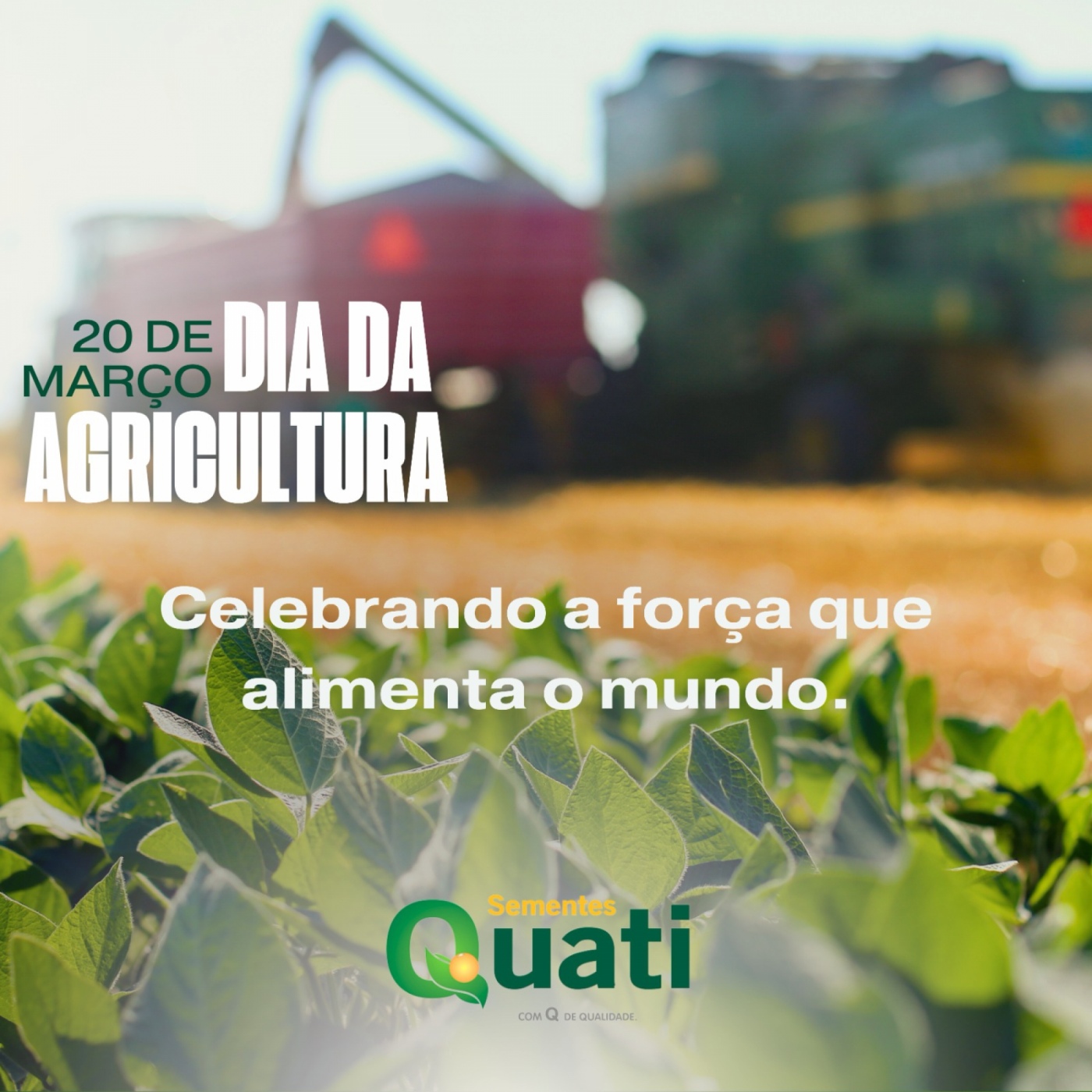 Celebrando o Dia da Agricultura a Força que Alimenta o Mundo