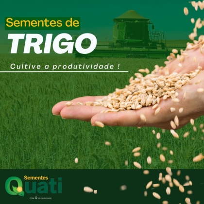 Sementes de Trigo