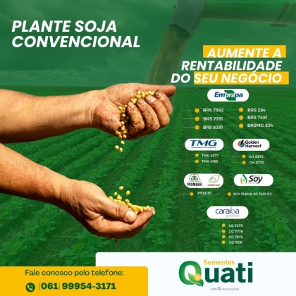 Plante Soja Convencional 