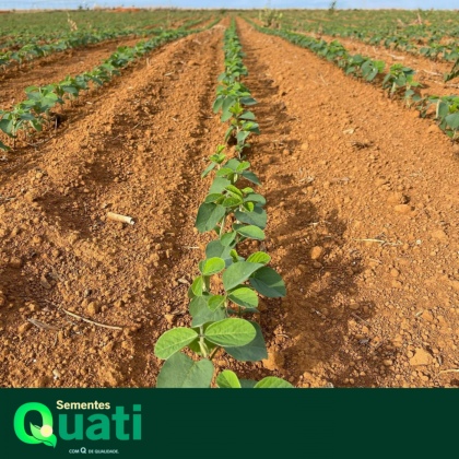 Equipe preparada para juntos cultivarmos um futuro de sucess